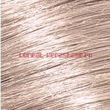 Loreal Inoa 60 ��. ��������� ��� �������  10.23 High Resist